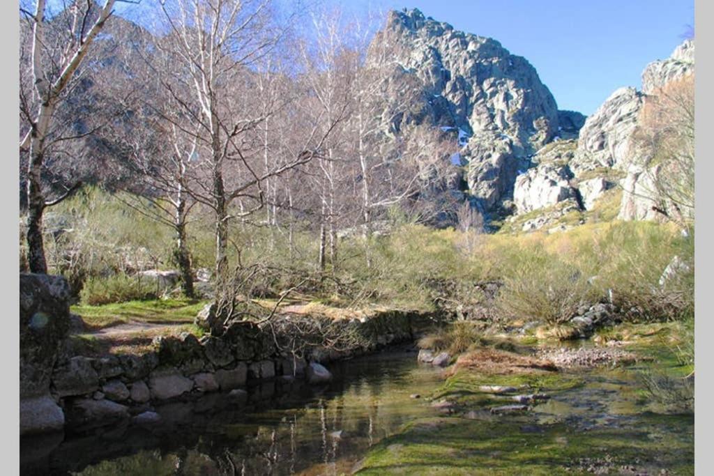 Casa Oeste Sabugueiro  Eksteriør bilde
